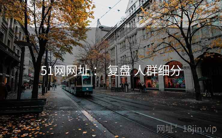 51网网址 ： 复盘 人群细分
