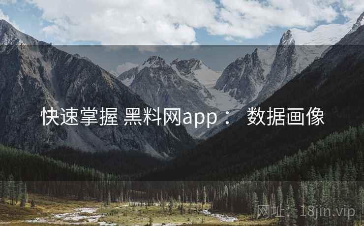 快速掌握 黑料网app ： 数据画像