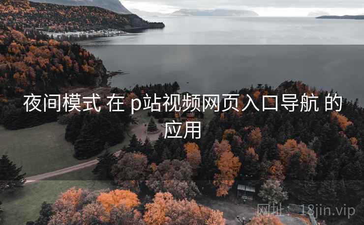 夜间模式 在 p站视频网页入口导航 的应用