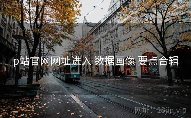p站官网网址进入 数据画像 要点合辑